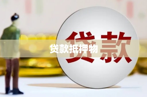 林内贷款抵押物