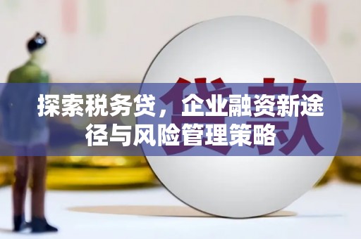 林内探索税务贷，企业融资新途径与风险管理策略