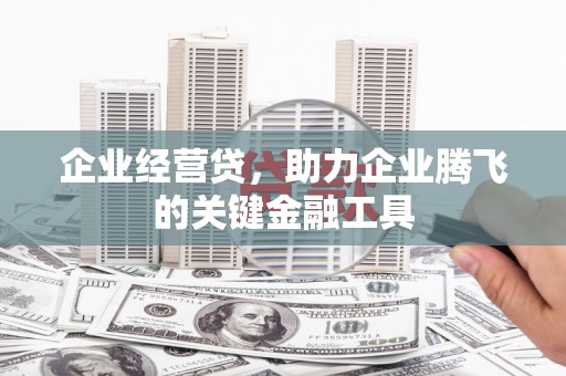 林内企业经营贷，助力企业腾飞的关键金融工具
