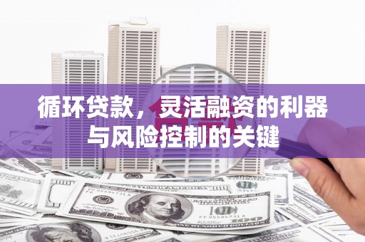 林内循环贷款，灵活融资的利器与风险控制的关键