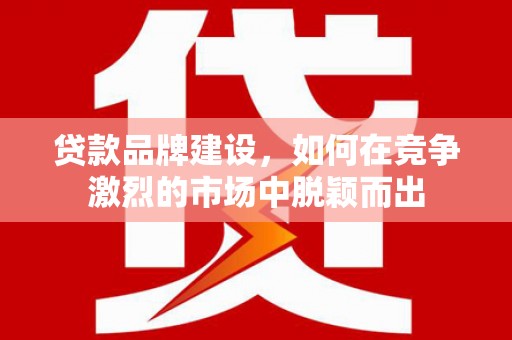 林内贷款品牌建设，如何在竞争激烈的市场中脱颖而出