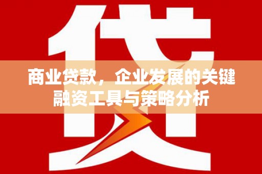 林内商业贷款，企业发展的关键融资工具与策略分析