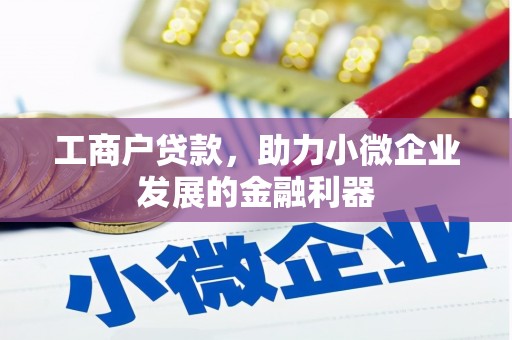 林内工商户贷款，助力小微企业发展的金融利器