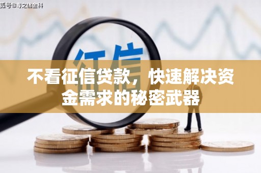 林内不看征信贷款，快速解决资金需求的秘密武器