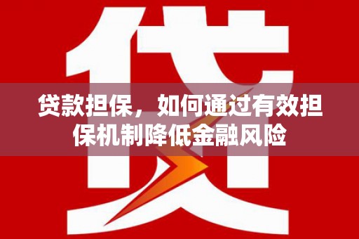 林内贷款担保，如何通过有效担保机制降低金融风险