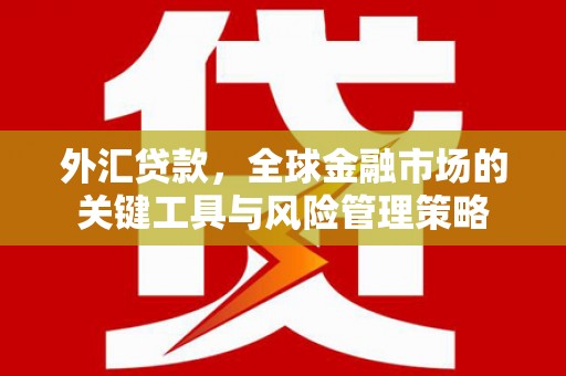 林内外汇贷款，全球金融市场的关键工具与风险管理策略