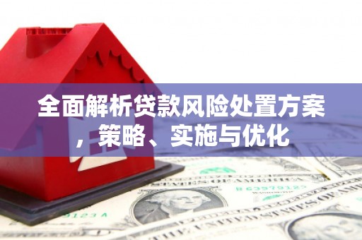 林内全面解析贷款风险处置方案，策略、实施与优化