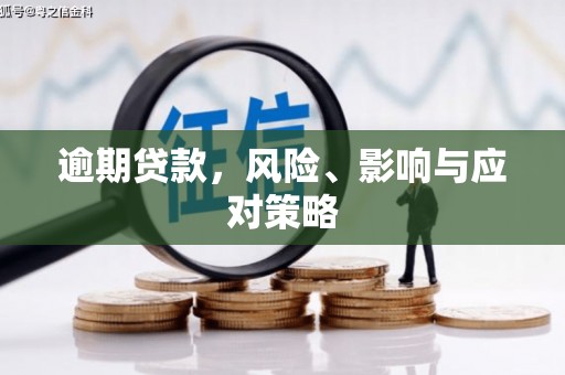 林内逾期贷款，风险、影响与应对策略