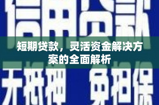 林内短期贷款，灵活资金解决方案的全面解析