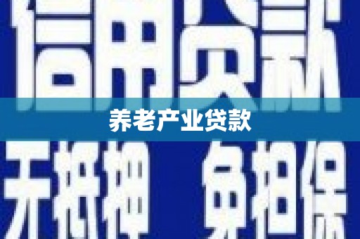 林内养老产业贷款