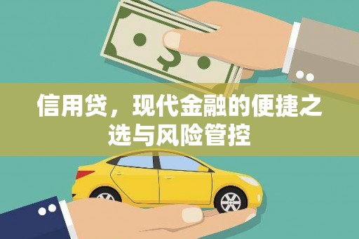 林内信用贷，现代金融的便捷之选与风险管控
