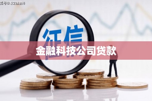 林内金融科技公司贷款
