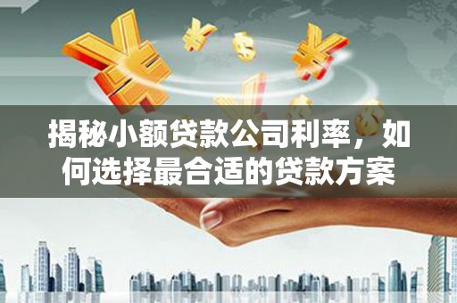 林内揭秘小额贷款公司利率，如何选择最合适的贷款方案