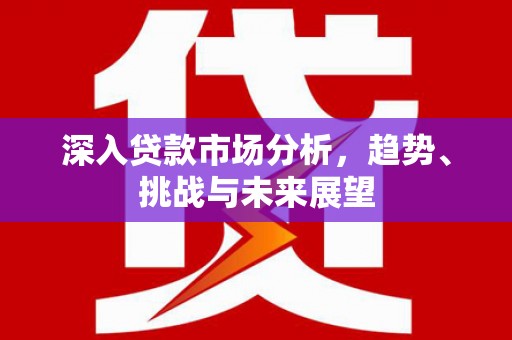 林内深入贷款市场分析，趋势、挑战与未来展望