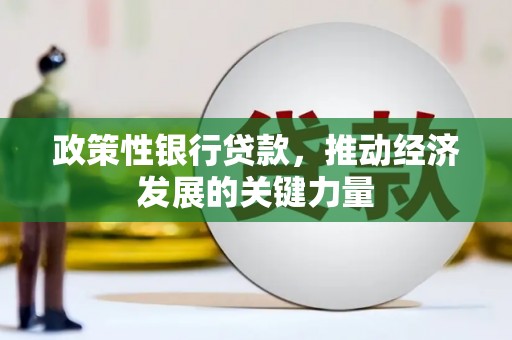 林内政策性银行贷款，推动经济发展的关键力量