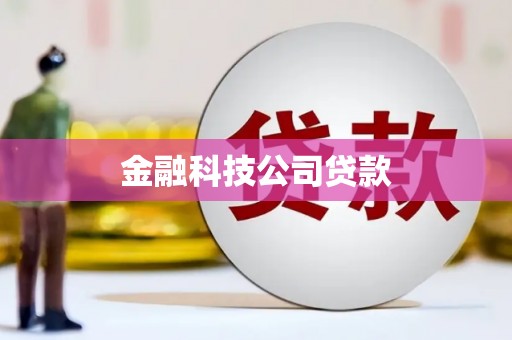 林内金融科技公司贷款