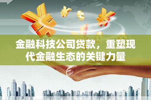 林内金融科技公司贷款，重塑现代金融生态的关键力量