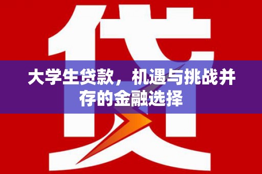 林内大学生贷款，机遇与挑战并存的金融选择