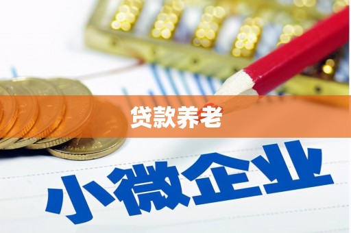 林内贷款养老