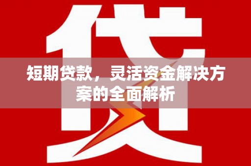 林内短期贷款，灵活资金解决方案的全面解析