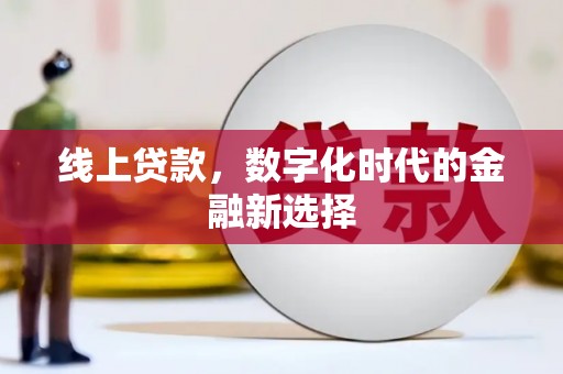 林内线上贷款，数字化时代的金融新选择