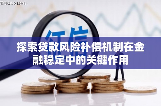 林内探索贷款风险补偿机制在金融稳定中的关键作用