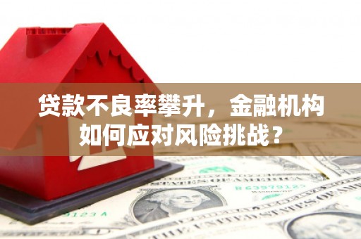 林内贷款不良率攀升，金融机构如何应对风险挑战？