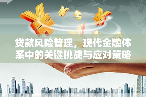 林内贷款风险管理，现代金融体系中的关键挑战与应对策略
