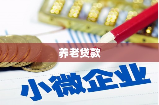 林内养老贷款