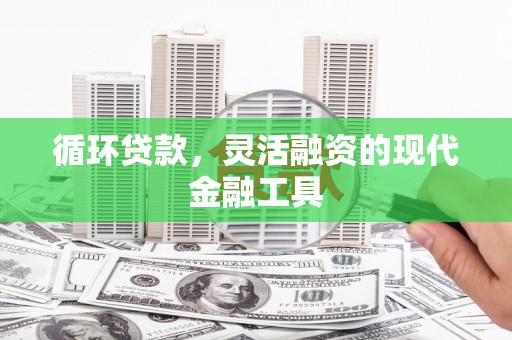 林内循环贷款，灵活融资的现代金融工具