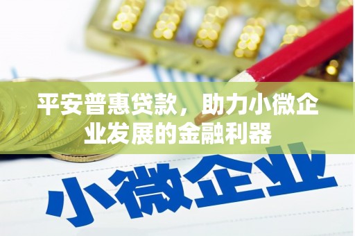 林内平安普惠贷款，助力小微企业发展的金融利器