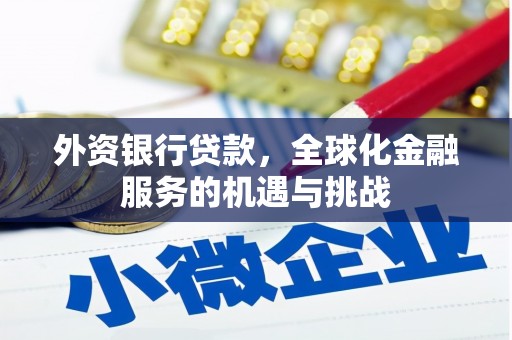林内外资银行贷款，全球化金融服务的机遇与挑战