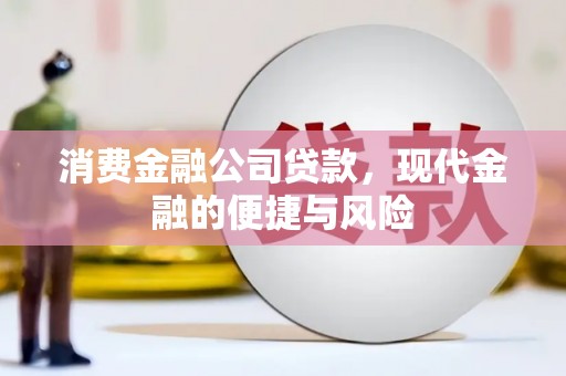 林内消费金融公司贷款，现代金融的便捷与风险