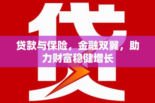 林内贷款与保险，金融双翼，助力财富稳健增长