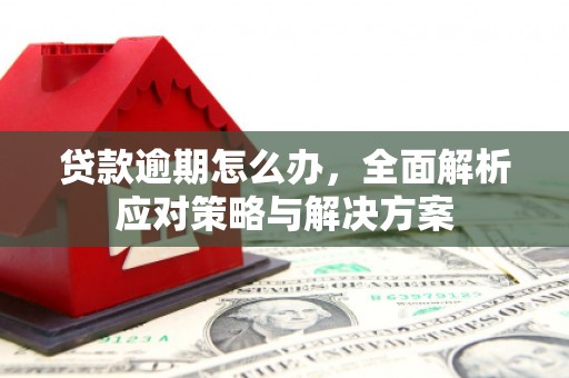 林内贷款逾期怎么办，全面解析应对策略与解决方案