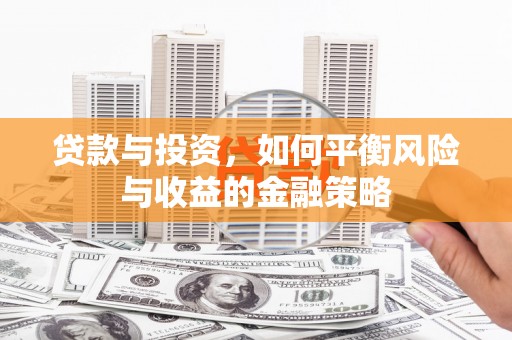 林内贷款与投资，如何平衡风险与收益的金融策略