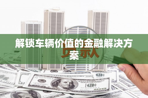 林内解锁车辆价值的金融解决方案