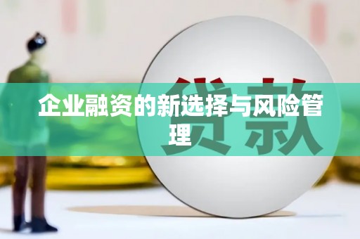 林内企业融资的新选择与风险管理