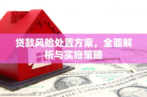 林内贷款风险处置方案，全面解析与实施策略